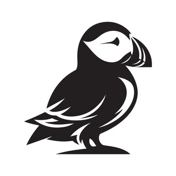 recommend clip art: Puffin silhouette vector illustration