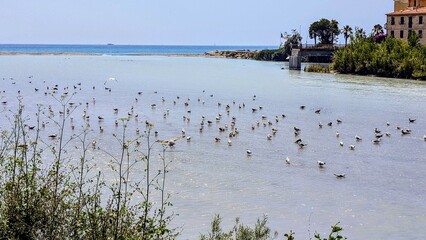 VINTIMILLE (Ligurie - Italie)