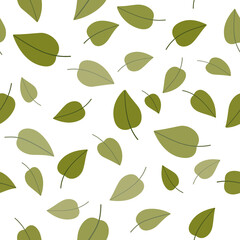 Summer botanical decor. Monochrome green seamless pattern. Many birch green leaves on transparent background. Soft nature colors. Background decorative elements for design projects
