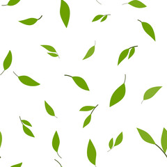 Summer botanical decor. Monochrome green seamless pattern. Many willow green leaves on transparent background. Soft nature colors. Background decorative elements for design projects