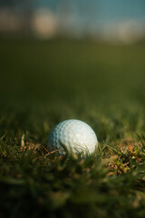 Golf ball on a grass golf course