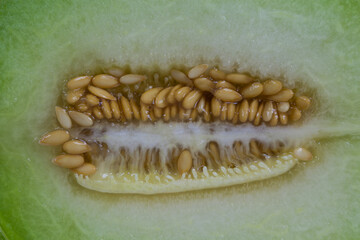 A halved honeydew melon reveals its juicy, orange flesh and shiny seeds. The picture embodies...