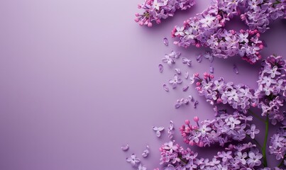 Displaying items on a solid soft lilac background will provide a gentle and soothing visual