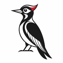 Woodpecker vector silhouette white background