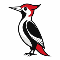 Fototapeta premium Woodpecker vector silhouette white background