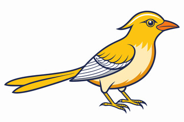 African citril bird vector illustration white background