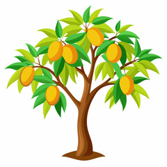  Mango tree vector illustration 