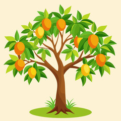  Mango tree vector illustration 