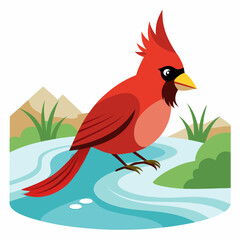 Cardinal eat in river vector illustration white background