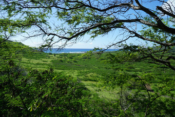 Hawaii Blue Ocean Green Landscape