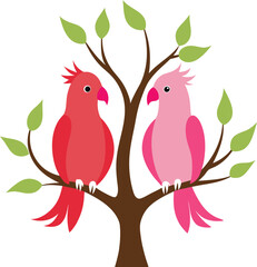 couple Galah in tree wood white background