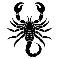 scorpion contour minimalism vector silhouette 