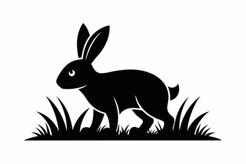 Black silhouette rabbit walk in grass white background