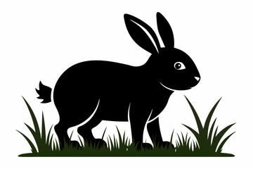Black silhouette rabbit walk in grass white background