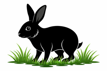 Black silhouette rabbit walk in grass white background