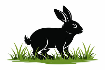 Black silhouette rabbit walk in grass white background