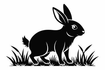 Black silhouette rabbit walk in grass white background