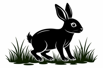Black silhouette rabbit walk in grass white background