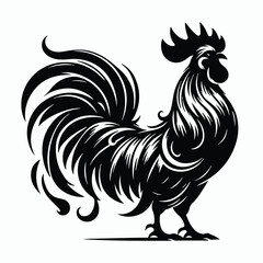 Rooster silhouette illustration on white background