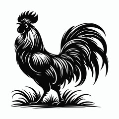 Rooster silhouette illustration on white background