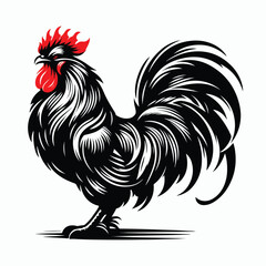 Rooster silhouette illustration on white background