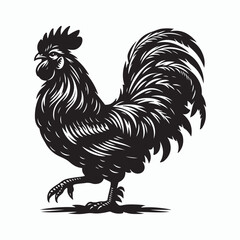Rooster silhouette illustration on white background