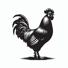 Rooster silhouette illustration on white background