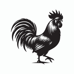 Rooster silhouette illustration on white background