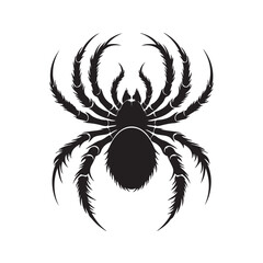 Black spider silhouette vector on white background