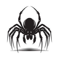 Black spider silhouette vector on white background