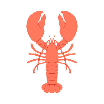 recommend clip art: Hand drawn vintage lobster sea food isolated illustration. Marine animal clip art design with crawfish, restaurant cooking ingredient.	
                    