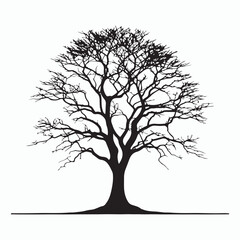 Obraz premium Tree silhouette vector