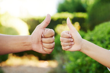 Hands, thumbs up and support for good news, positive feedback or success in garden. Gesture, people and excited with yes for vote, choice or agreement in outdoor for thank you, winner or satisfaction