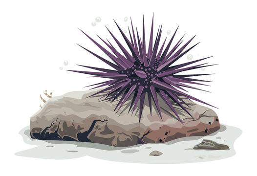 Sea urchin attached to a rock underwater, featuring sharp spines and a detailed marine environment.