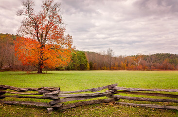 Cades Cove tree and split rail fence in autumn at Great Smoky Mountains National Park
