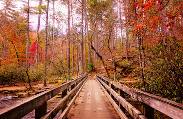 Abrams Falls Bridge in autumn at Great Smoky Mountains National PArk