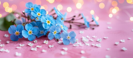 Close up blue forget me nots wildflowers on pink lights background in minimalist style