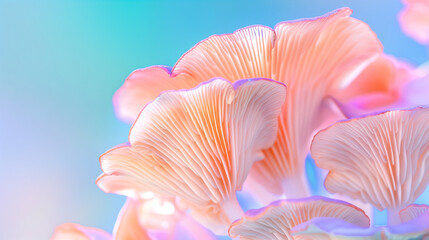 Dreamy Abstract Mushroom Close Up. Serene Beauty in Nature Photography
