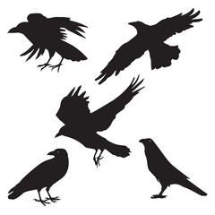 Flock of Raven Crow Birds Vector illustration Set
