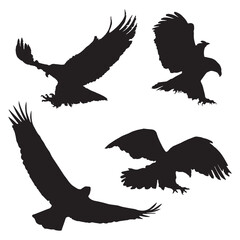 Eagle Silhouette Silhouette Vector Illustration Set