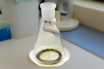 matraz erlenmeyer con resinas de extractos bioactivos