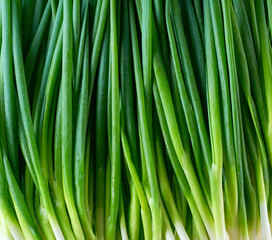 Close up of fresh green spring onions , food background.
