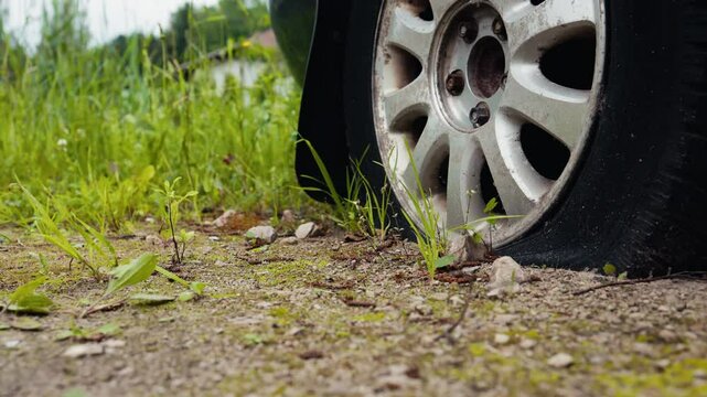 Travelers faced an unexpected challenge on a secluded trail with lush greenery due to a flat tire