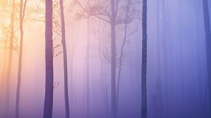 Mystical Forest with Foggy Atmosphere