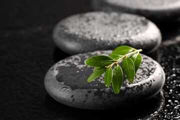 Wet spa stones and green branch in water on black background, closeup