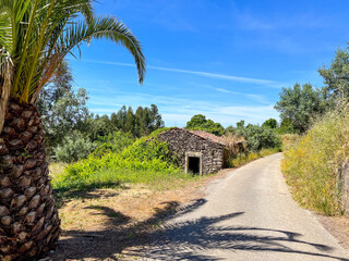 old house and palmtree  on the camino de santiago in portugal, the portuguese way, pilgrimage