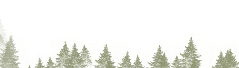 Pine landscape, forest 
