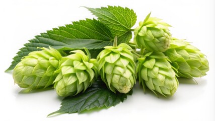 Fototapeta premium A bunch of green leaves with a few small green flowers on top