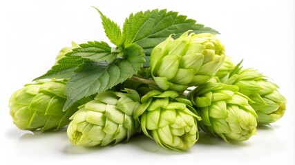 Fototapeta premium A bunch of green leaves with a few small green flowers on top