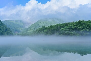 Fototapeta premium 霧に包まれた幻想的な大正池の情景